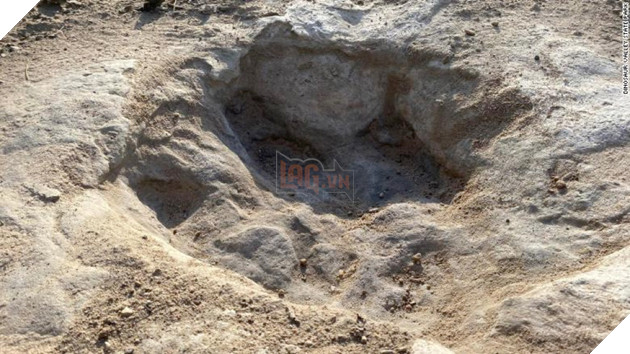 Dòng sông lớn khô hạn vì hạn hán làm lộ hàng trăm dấu chân khủng long 113 triệu năm trước