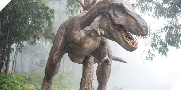 Dòng sông lớn khô hạn vì hạn hán làm lộ hàng trăm dấu chân khủng long 113 triệu năm trước