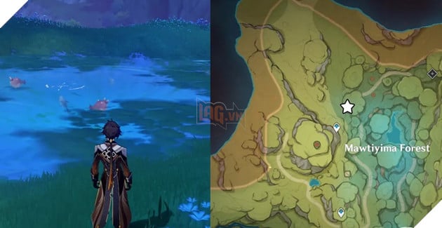 Genshin Impact: Hướng dẫn cách lấy Cung Sông Cạn và vị trí câu cá cần thiết tại Sumeru 6