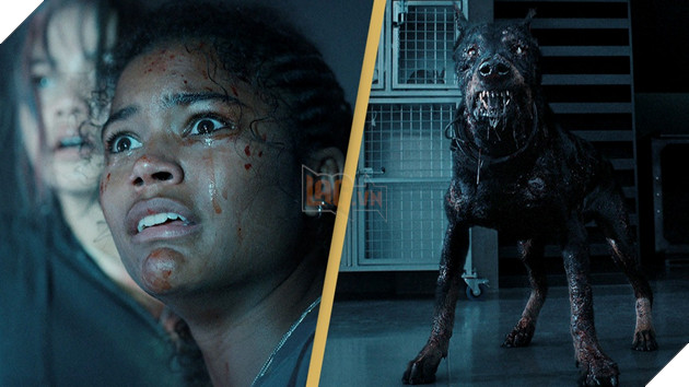 Series Resident Evil của Netflix bị hủy bỏ ngay sau khi ra mắt mùa 1 2