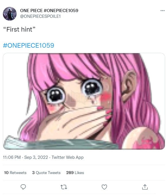 One Piece 1059 - Râu Đen và Boa Hancock có thể sẽ là nhân vật chính trong chương mới 2