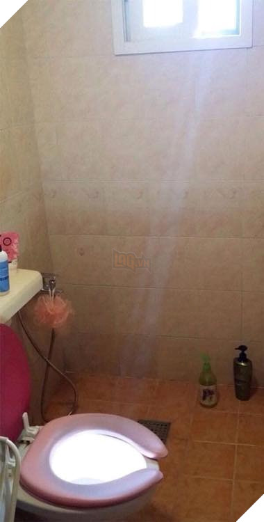 Loạt ảnh được chụp ngẫu nhiên nhưng hoàn hảo như bước ra từ phim có thể bạn chưa biết Phần 1  3