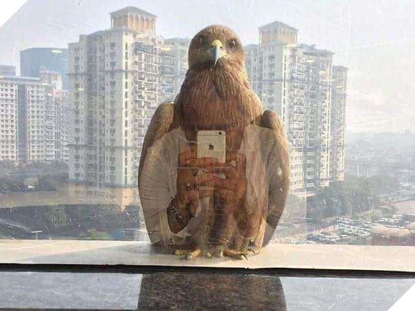 Loạt ảnh được chụp ngẫu nhiên nhưng hoàn hảo như bước ra từ phim có thể bạn chưa biết Phần 1  4