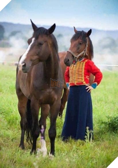 Loạt ảnh được chụp ngẫu nhiên nhưng hoàn hảo như bước ra từ phim có thể bạn chưa biết Phần 2  5