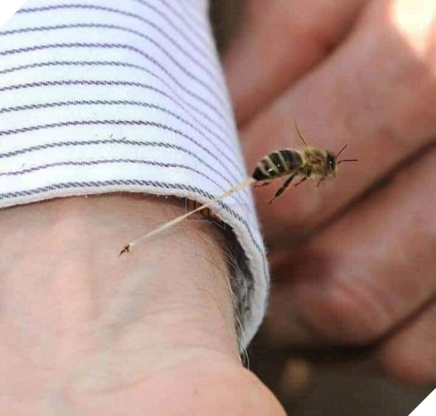 Loạt ảnh được chụp ngẫu nhiên nhưng hoàn hảo như bước ra từ phim có thể bạn chưa biết Phần 2  6