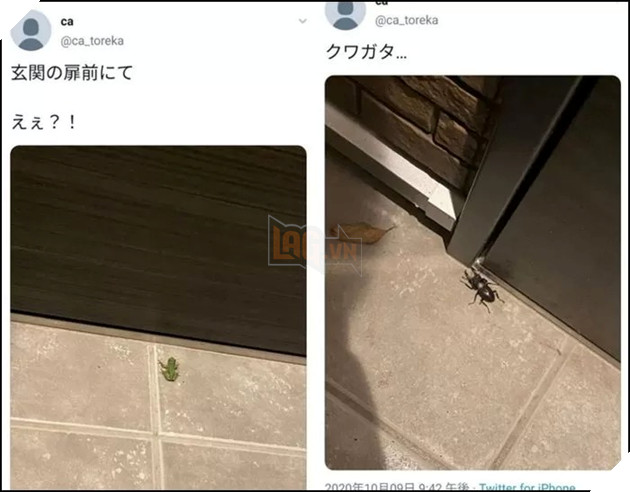 Thanh niên bị trộm bộ sưu tập Yugi Oh lên đến gần 20 tỷ đồng bởi một thủ thuật vô cùng tinh vi