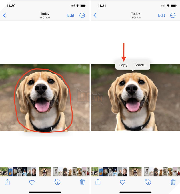 Tính năng xóa phông ảnh trên iPhone iOS 16 giúp bạn tạo ra những bức ảnh đẹp và chất lượng hơn. Bạn có thể tùy chỉnh mức độ xóa phông để tạo ra hiệu ứng ấn tượng cho bức ảnh.
