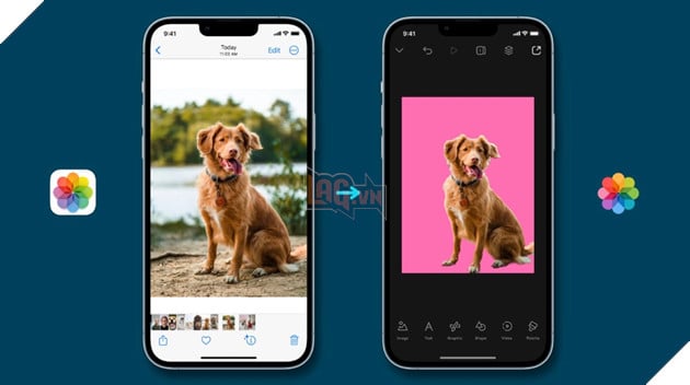 Với nâng cấp IOS 16 mới nhất, iPhone đã cập nhật tính năng xoá phông và tách nền đáng kinh ngạc. Không cần đến Photoshop hay các công cụ pha trộn, bạn có thể tạo ra những bức ảnh ấn tượng chỉ với vài thao tác đơn giản. Nhanh tay cập nhật và trải nghiệm ngay.