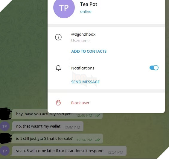 Leaker GTA 6 phủ nhận thông tin đã bán mã nguồn GTA 5 3