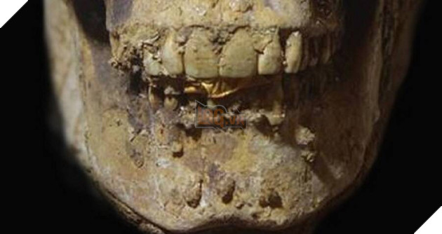 Xác ướp Ai Cập 2.000 năm tuổi được khai quật với những chiếc lưỡi vàng