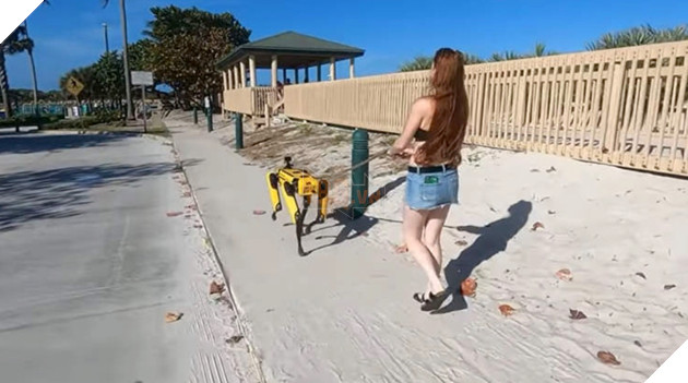 Dắt chó robot đi dạo dường như đã trở thành trào lưu tại các thành phố Trung Quốc