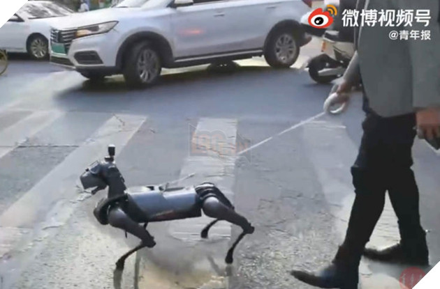 Dắt chó robot đi dạo dường như đã trở thành trào lưu tại các thành phố Trung Quốc