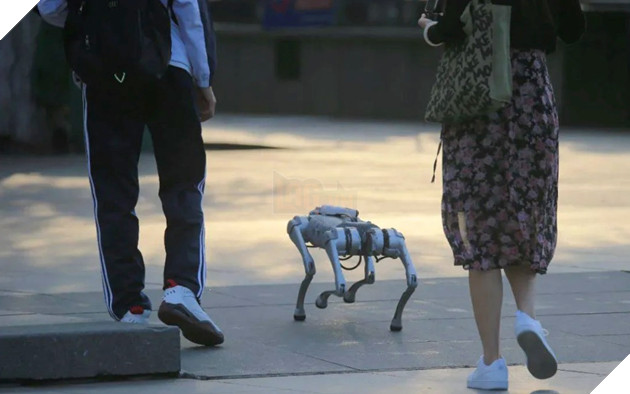 Dắt chó robot đi dạo dường như đã trở thành trào lưu tại các thành phố Trung Quốc