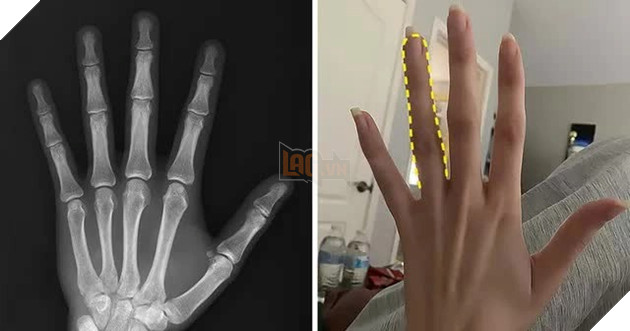 những điều thú vị về cơ thể con người