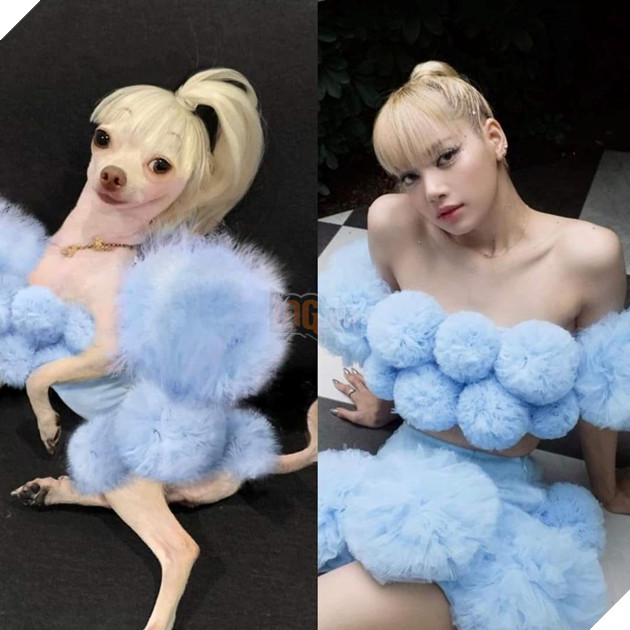 Cười bò trước loạt ảnh cosplay nhân vật nổi tiếng của cô bạn bốn chân Phần 1  6