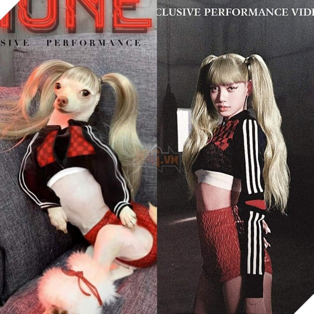 Cười bò trước loạt ảnh cosplay nhân vật nổi tiếng của cô bạn bốn chân Phần 1  5