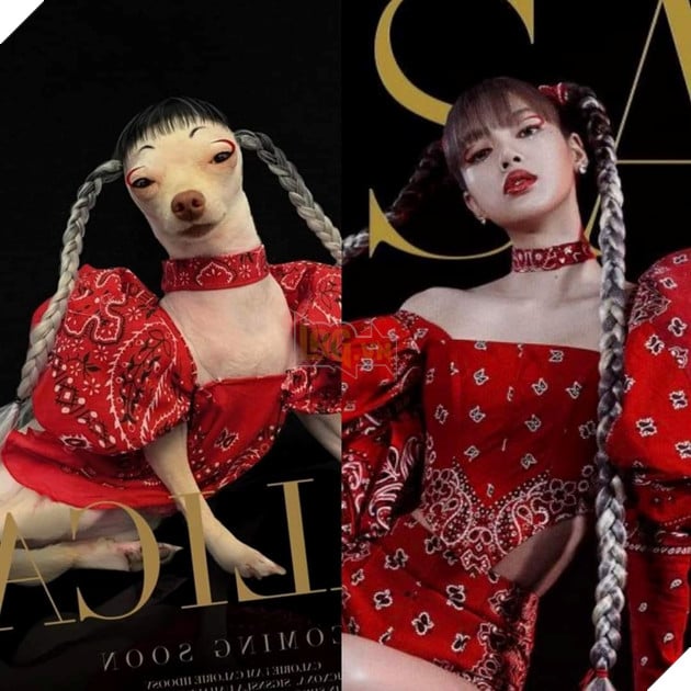 Cười bò trước loạt ảnh cosplay nhân vật nổi tiếng của cô bạn bốn chân Phần 1  7
