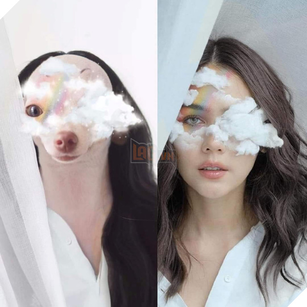 Cười bò trước loạt ảnh cosplay nhân vật nổi tiếng của cô bạn bốn chân Phần 2  4