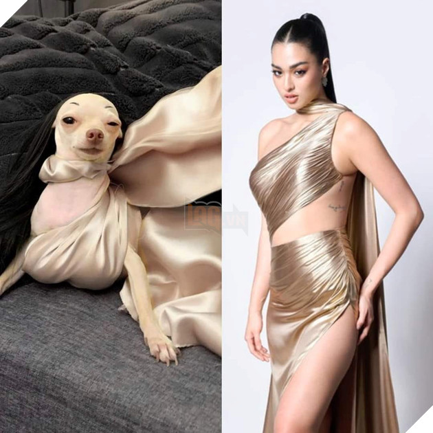 Cười bò trước loạt ảnh cosplay nhân vật nổi tiếng của cô bạn bốn chân (Phần 2)