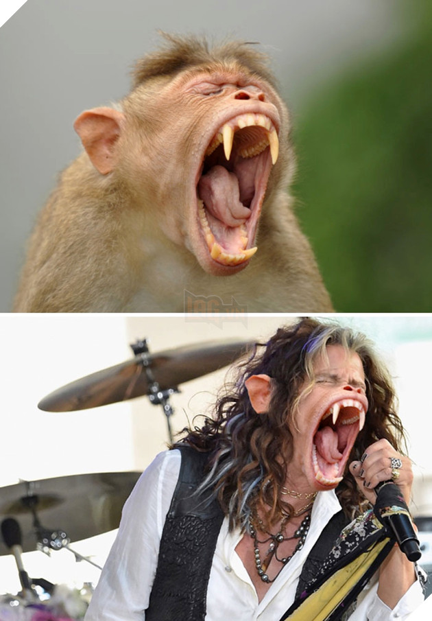 Cười té ghế với loạt ảnh 'chế' hài hước, bựa nhất quả đất  18