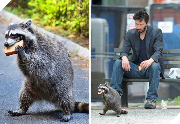 Cười té ghế với loạt ảnh 'chế' hài hước, bựa nhất quả đất  17