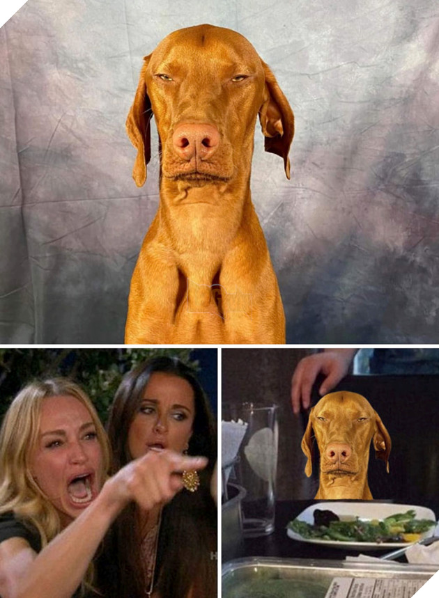 Cười té ghế với loạt ảnh 'chế' hài hước, bựa nhất quả đất  16