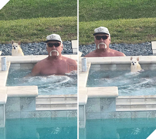 Cười té ghế với loạt ảnh 'chế' hài hước, bựa nhất quả đất  30