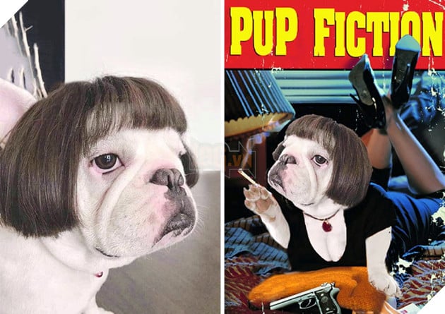 Cười té ghế với loạt ảnh 'chế' hài hước, bựa nhất quả đất  9