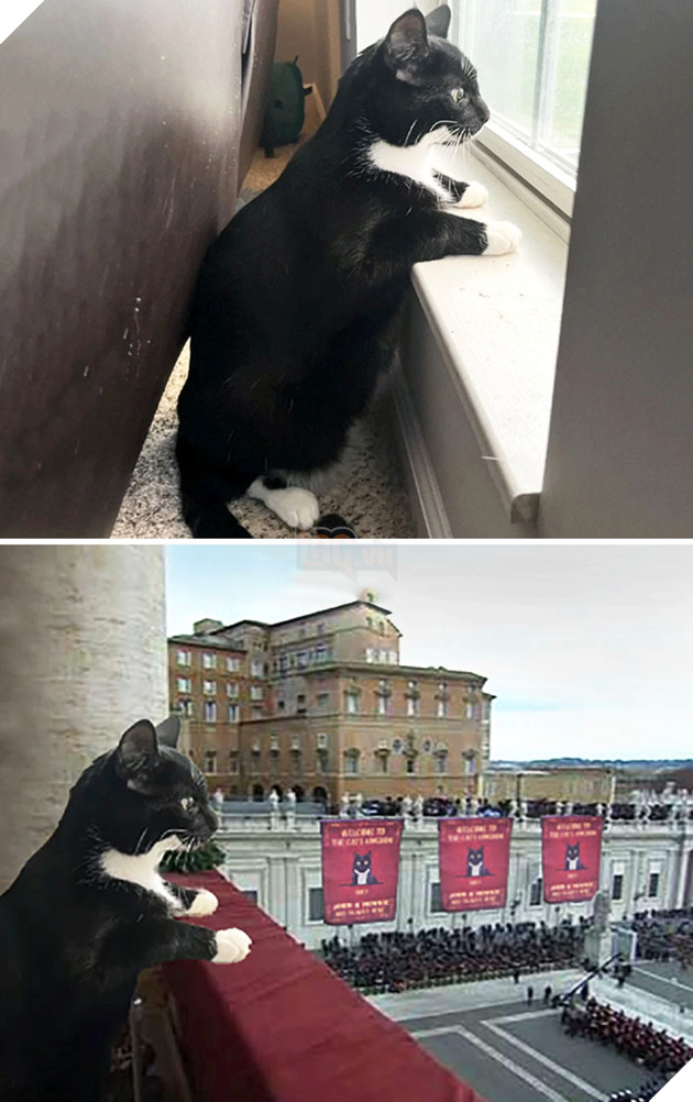 Cười té ghế với loạt ảnh 'chế' hài hước, bựa nhất quả đất  8