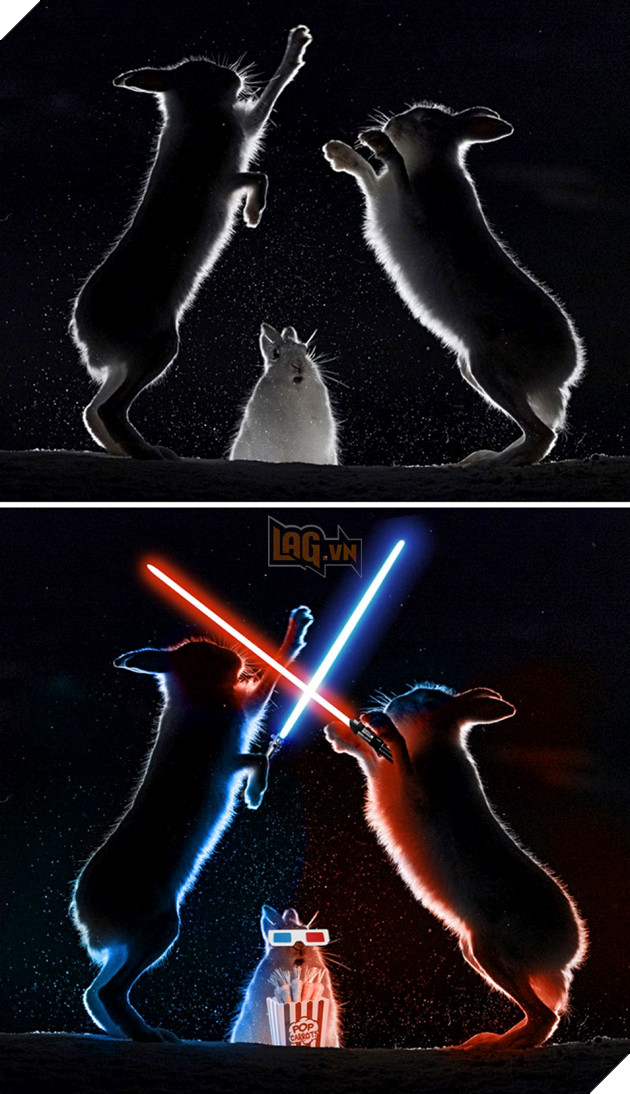 Cười té ghế với loạt ảnh 'chế' hài hước, bựa nhất quả đất  2