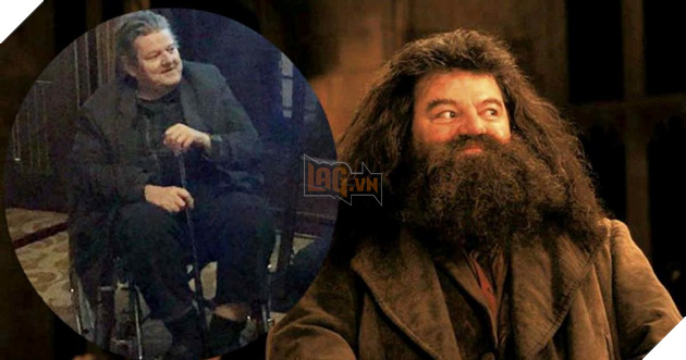 harry potter hagrid