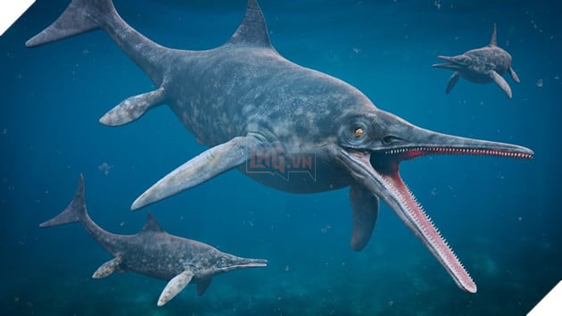 Hoá thạch "Rồng biển" khổng lồ 180 triệu năm tuổi được tìm thấy tại Vương quốc Anh