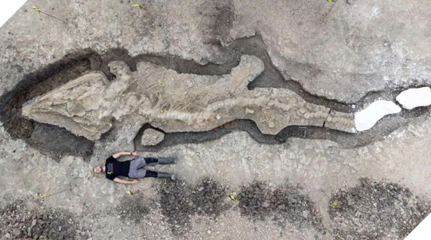 Hoá thạch "Rồng biển" khổng lồ 180 triệu năm tuổi được tìm thấy tại Vương quốc Anh