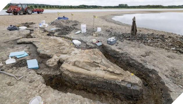 Hoá thạch "Rồng biển" khổng lồ 180 triệu năm tuổi được tìm thấy tại Vương quốc Anh