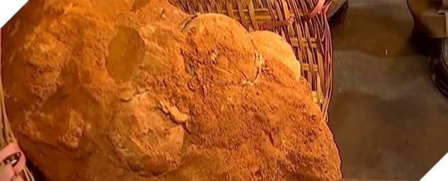 Phát hiện hóa thạch trứng khủng long 70 triệu năm tuổi ở Trung Quốc