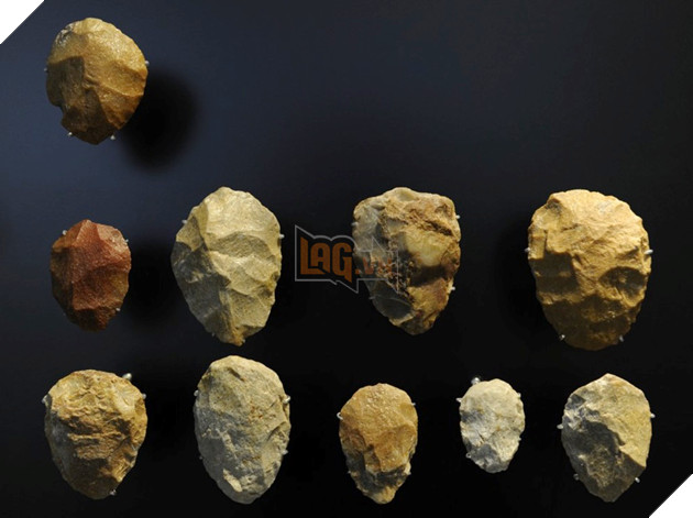 50,000-year-old DNA discovery reveals first observations of Neanderthal family