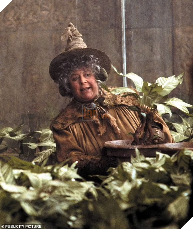 Nữ diễn viên Harry Potter tiết lộ catxe sau 20 năm: lên hình chưa đến 3 phút nhưng caxte ngang ngửa Emma Waston gây shock 2