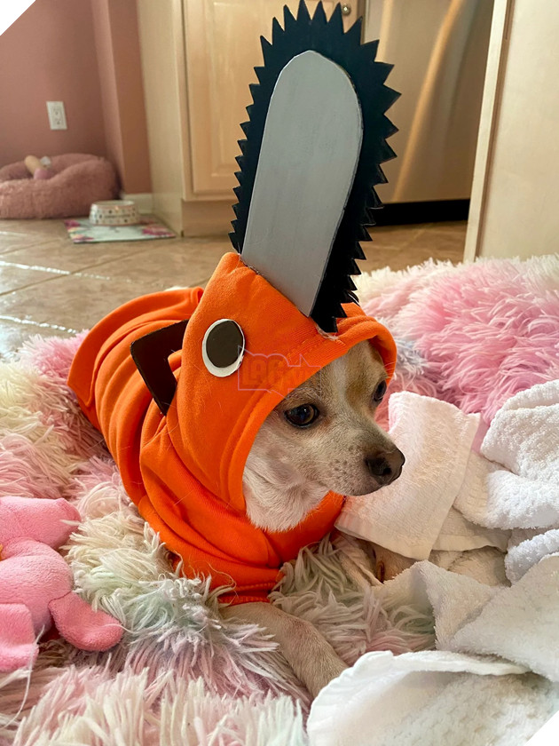 cosplay chainsaw man