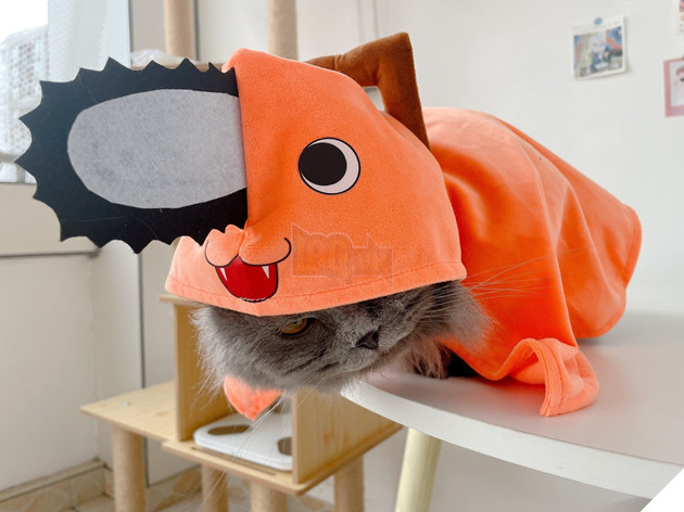 cosplay chainsaw man