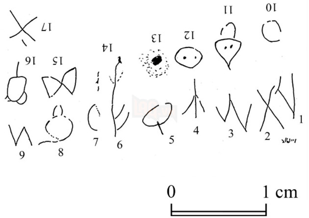 Khai quật chiếc lược ngà 3.700 năm tuổi được chạm khắc thần chú diệt chấy 2