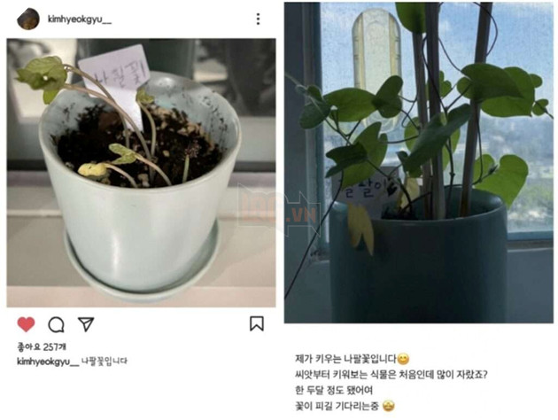 LMHT: Deft có hành động xác nhận việc hẹn hò với nữ diễn vên xinh đẹp