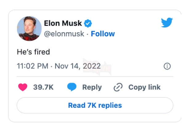 Nhân viên Twitter bị đuổi việc vì dám công khai "bậc" Elon Musk trên mạng xã hội