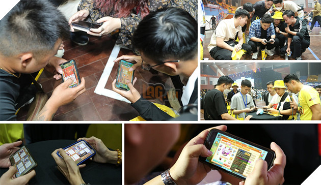 Gà Gin xuyên Việt 2022 Sắc vàng rực rỡ những ngày tháng 11 4