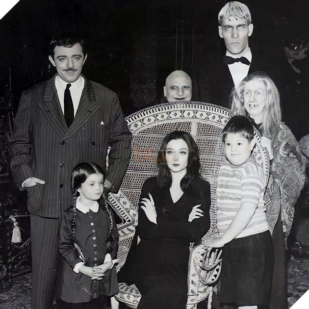 Thành viên gia đình Addams sẽ mang đến cho bạn những khoảnh khắc đầy hấp dẫn. Mỗi thành viên đều mang trong mình những tính cách riêng biệt và đặc trưng, chắc chắn sẽ làm bạn say mê. Hãy cùng chúng tôi khám phá những bí mật của gia đình Addams.