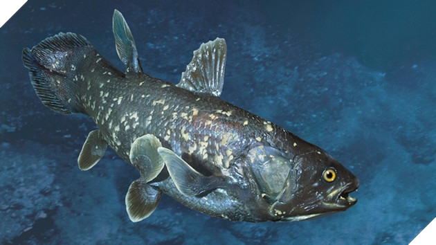 Loài sinh vật nào đạt danh hiệu sống dai nhất hành tinh?  2