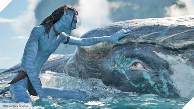 Avatar 2 học hỏi loạt phim Disney và Ghibli thông qua những chi tiết ẩn thú vị