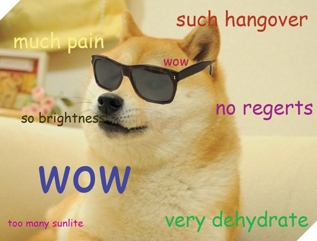 Doge - Tượng đài meme đình đám thế giới đang trong tình trạng nguy kịch