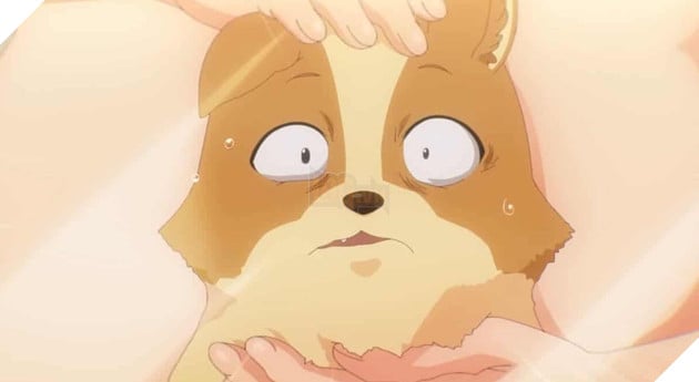 Những chú chó hình ảnh chó cute anime đáng yêu và dễ thương nhất màn ảnh  anime