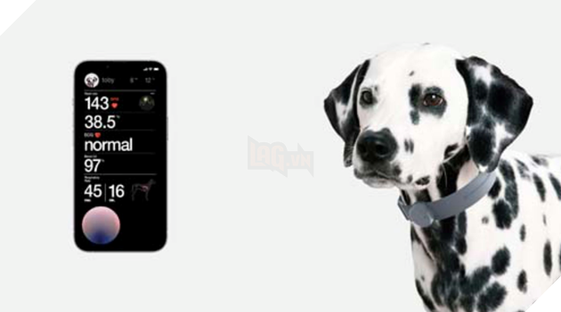 Tổng hợp những sản phẩm "độc lạ" chỉ có tại CES 2023 (Phần 1)