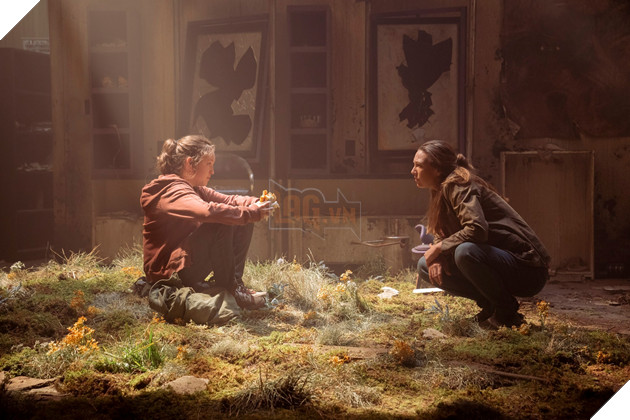 The Last of Us: Tầm quan trọng của Bào tử Nấm Cordyceps với cốt truyện thương hiệu